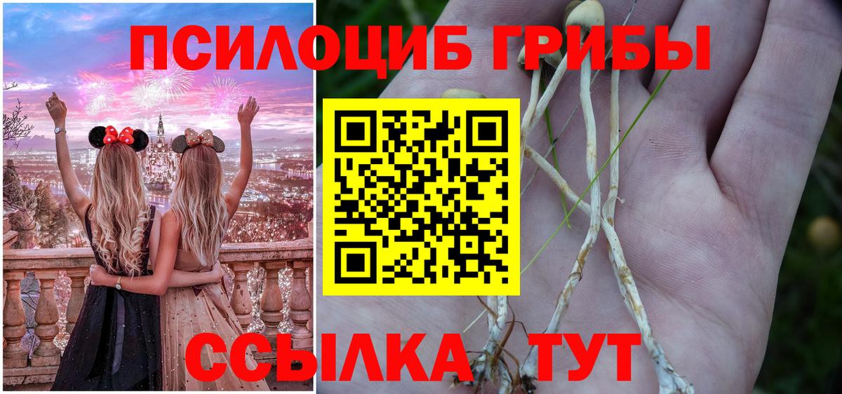 Псилоцибиновые грибы Cubensis  Псилоцибиновые грибы Psilocybe  Вход с VPN  Мытищи 